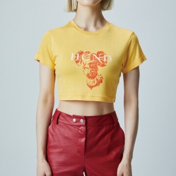 GRAPHIC PRINT CROPPED T-SHIRT